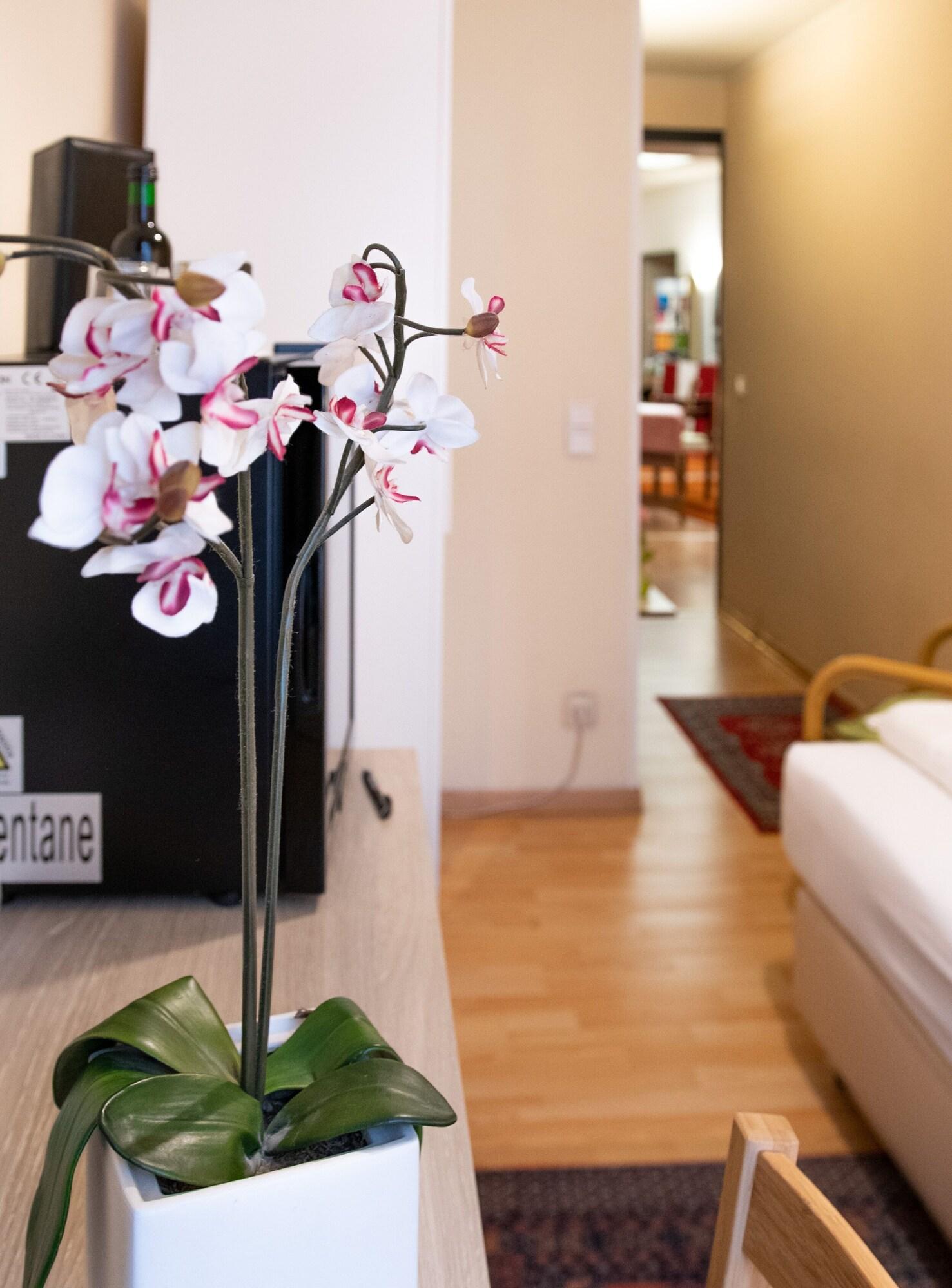 Pension Hotel Mariahilf Vienna Exterior photo